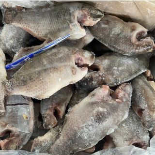 Cá Rô Phi (size 3-5con/kg) thùng 10kg
