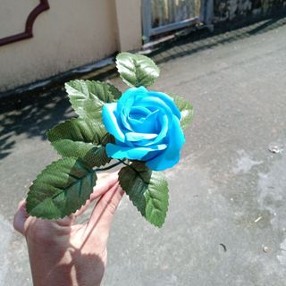 cành hoa hồng sáp, có lá + cành
