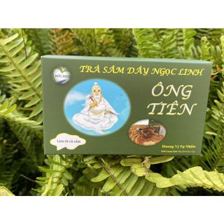 TRÀ SÂM DÂY NGỌC LINH - Phòng Ngừa Bệnh Tật
