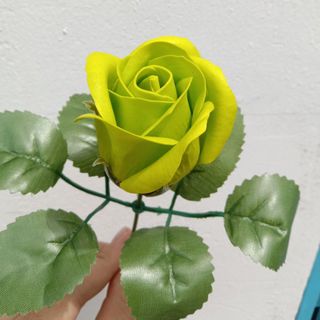 cành hoa hồng sáp, có lá + cành