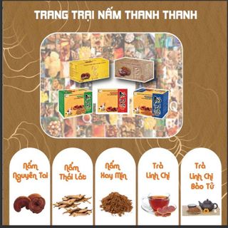 Tổng hợp sản phẩm nấm của trang trại nấm Thanh Thanh