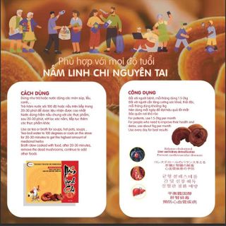 Tổng hợp sản phẩm nấm của trang trại nấm Thanh Thanh