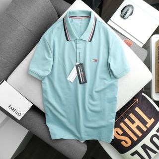 Áo thun có cổ nam, áo polo nam cao cấp, hàng vnxk chất vải cá sấu cotton 4c - size từ 55kg - 85kg