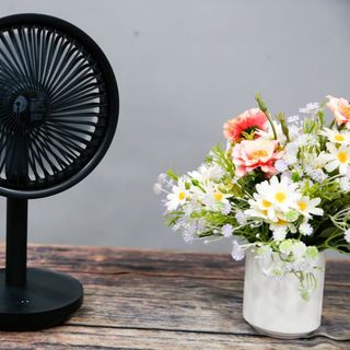 Quạt để bàn mini 5in