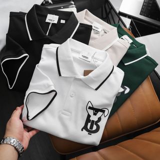 Áo thun có cổ nam, áo polo nam cao cấp, chất cotton cá sấu mắt to loại xịn (ngoại nhập), sờ là thích, mặc sướng - size từ 54kg - 90kg