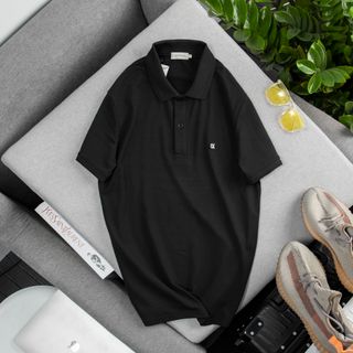 Áo polo cá sấu nam, áo thun cổ bẻ nam cao cấp, chất vải cá sấu cotton 4c xịn - size từ 55kg - 85kg