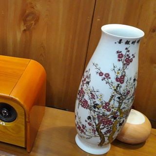 Loa Bluetooth Lightspace audio, Máy âm thanh cao cấp Lightspace audio LS-A01.14