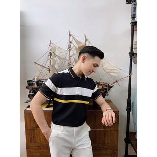Áo Phông Polo Nam Cổ Bẻ Cs12_Phối Sipa Vải Cá Sấu Cotton Xuất Xịn,Chuẩn Form, Sang Trọng - Thanh Lịch - Nicemen