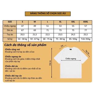 Áo Thun Nam Cổ Tròn Angeles, Áo Phông Unisex  Cotton 4 Chiều ChíNh PhẩM VảI Dày Dặn Bo Cổ Đồng Màu- Nicemen
