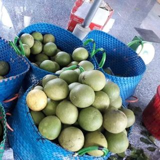 Giỏ đan nhựa