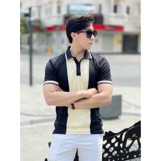 Áo Phông Polo Nam Cổ Bẻ CS22_phối SIPA vải cá sấu xuất thái, Ao Polo xuất xịn,sang trọng,trẻ trung- NICEMEN