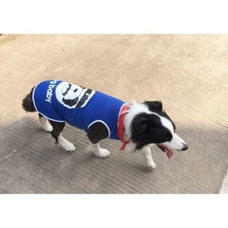 ÁO THUN 3 LỖ CHO CHÓ LỚN DOG BABY (MÀU NGẪU NHIÊN) - SP005996