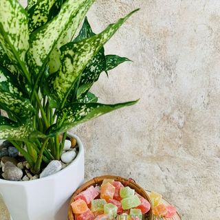 Kẹo Dẻo Trái Cây Đặc Sản Đà Lạt VIETSEAFARM