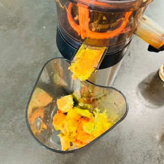 Máy ép chậm Kalite KL565. Hàng chính hãng, bảo hành 12 tháng.