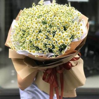 𝐒𝐢̉ 𝐋𝐞̉ 𝐇𝐨𝐚 𝐓𝐮̛𝐨̛𝐢 _𝐂𝐮́𝐜 𝐓𝐚𝐧𝐚 _𝐒𝐡𝐢𝐩 𝐇𝐨̉𝐚 𝐓𝐨̂́𝐜