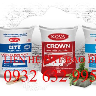 IN BAO BÌ BỘT TRÉT TƯỜNG 20KG, 25KG, 40KG, BAO BÌ ĐỰNG BỘT TRÉT TƯỜNG