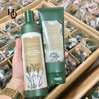 gội xả gừng nâu hà thủ ô weilaiya