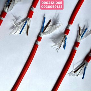 Cáp chống cháy 2 lõi x 1.0mm/1.5mm/2.5mm + amiang + E