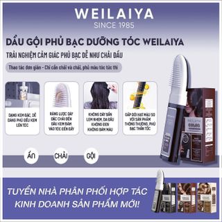 Dầu Gội Phủ Bạc Weilaiya Color Conditioner, Dầu Gội Nhuộm Tóc Dưỡng Tóc Bóng Mượt Bền Màu Chắc Khỏe