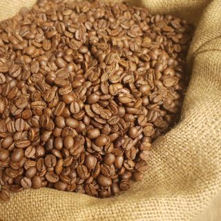 Cà phê Arabica Cầu Đất loại 1 chế biến ướt giá sỉ tại xưởng giá sỉ