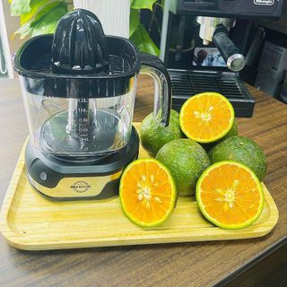 Máy Vắt Cam Tự Động Bằng Điện BUCOOK BNP-2211 cỡ To 1,2L