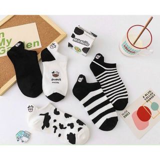 Combo 5 Đôi Vớ Bò Sữa