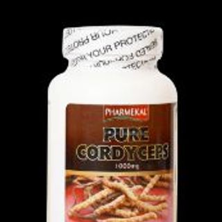 VIÊN UỐNG ĐÔNG TRÙNG HẠ THẢO, PURE CORDYCEPS 1000MG PHARMEKAL/USA