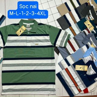 Áo thun nam trung niên cổ bẻ có size to
