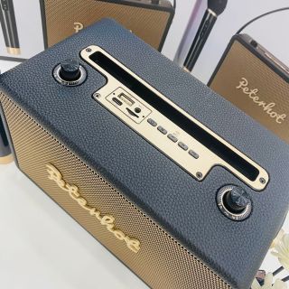 Loa karaoke Bluetooth PETERHOT A106 Kèm 1 Micro Có Quay Sách Hỗ Trợ USB, Thẻ nhớ, Cổng Micro 6.5, Đài FM Chính Hãng
