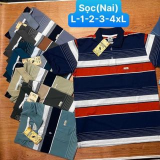 Áo thun nam trung niên cổ bẻ có size to