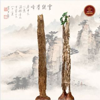 Trầm Hương Bonsai Cảnh Tự nhiên 100% Việt Nam Đẳng Cấp