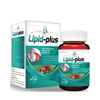 Viên uống giảm mỡ máu Lipid Plus hỗ trợ giảm - Hộp 30 viên