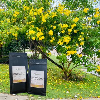 CÀ PHÊ CỦA SỰ TỈNH THỨC