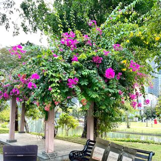 CÀ PHÊ CỦA SỰ TỈNH THỨC