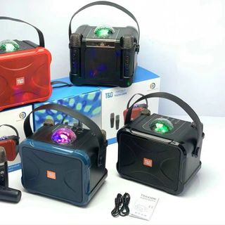 Loa karaoke mini TG543DK bluetooth kèm 2 micro