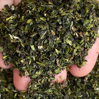 Trà Oolong Tấm Bảo Lộc