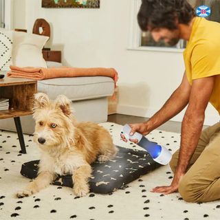 Chai xịt nước Ozone áp suất cao cầm tay đa chức năng: làm sạch, khử trùng, khử mùi GL-601 xịt khoảng cách đến 80cm