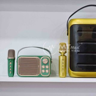 Loa bluetooth karaoke YS-217