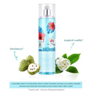 Xịt toàn thân Victoria nước hoa hương hoa và hương trái cây 236ml 23600