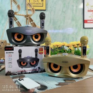 Loa Bluetooh SD306 Plus