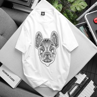 Áo thun cotton 4c nam, áo thun nam cao cấp, chất  thun cotton 4c cao cấp xịn - size từ 55kg - 85kg