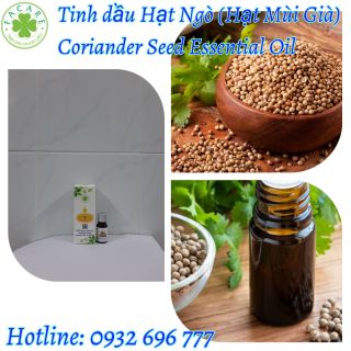 Tinh dầu Hạt Ngò (Mùi Già) Coriander essential oil giúp khử mùi - 10ml giá sỉ