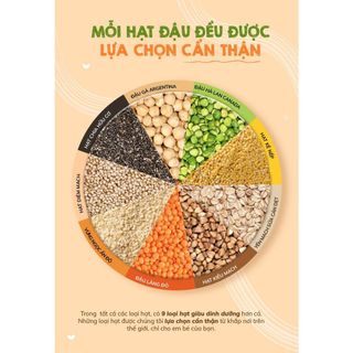 Hạt dinh dưỡng hữu cơ ăn dặm cho bé,Hạt Diêm Mạch Ecofood 120g cho trẻ từ 6 tháng tuổi giá sỉ