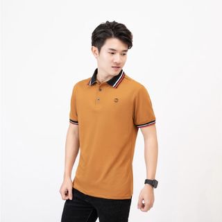 Áo Polo Nam phối viền cổ và tay thanh lịch vải cá sấu Cotton cao cấp,thoáng mát,phong cách trẻ trung