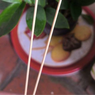 Bông se tai theo yêu cầu 100 cây /bịch