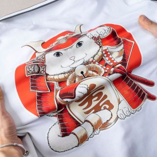 Phôi áo polo nam nữ in pet chất tốt, áo polo nam in họa tiết mèo thần tài - Hà Đinh