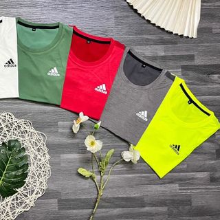 Áo nữ Logo Siêu Đẹp Giá Sỉ, Chuẩn Hàng Đẹp