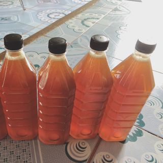 MẬT ONG HOA CÀ PHÊ CHAI 500ML