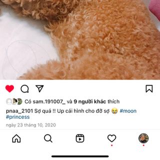 Áo ba lỗ