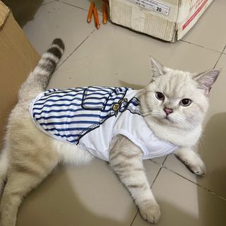 Áo ba lỗ